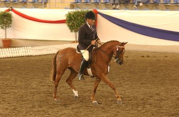 Open uri20180517 20681 1mgutae