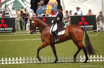 Open uri20180501 25458 1vu8dfh