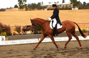 Open uri20180501 25458 1xszyyw