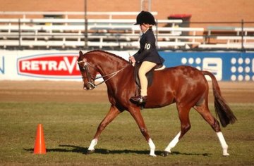 Open uri20180501 25458 fkxvxl