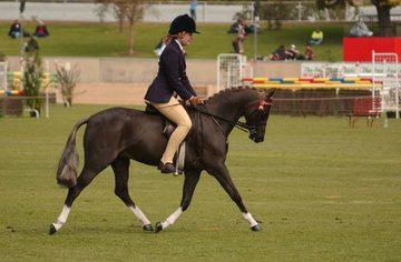 Open uri20180501 25458 88t7ev