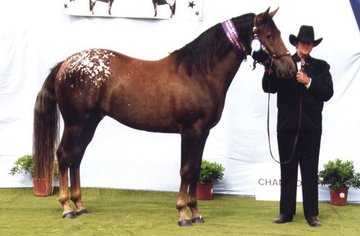 Open uri20180501 25458 16mlrni