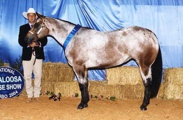 Open uri20180501 25458 1bqrlsw