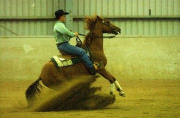 Open uri20180501 25458 11jw9q