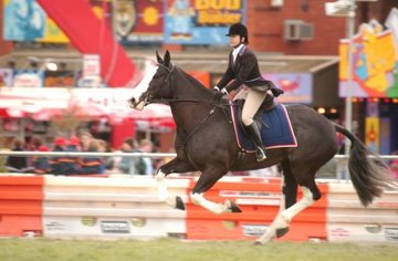 Open uri20180501 25458 1l83ibc