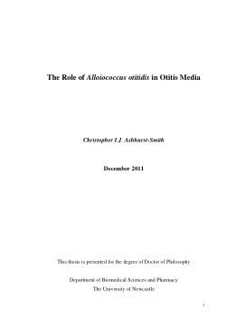 Item - The role of Alloiococcus otitidis in otitis media - Open ...
