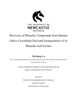 Item - Recovery of phenolic compounds from banana (Musa cavendish) peel ...