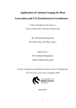 Item - Application of calcium looping for heat generation and CO₂ ...