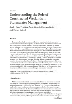 Understanding the Role of Constructed Wetlands in Stormwater Management