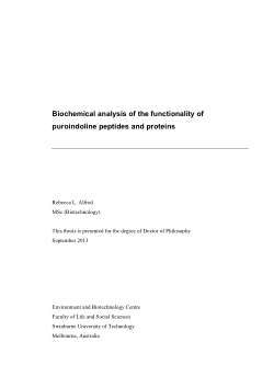 Item - Biochemical analysis of the functionality of puroindoline ...