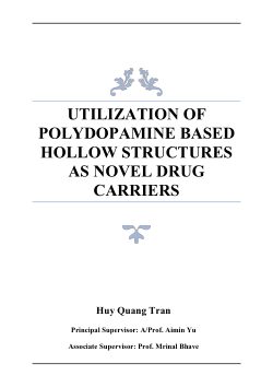 Item - Utilization of Polydopamine Based Hollow Structures as Novel ...