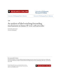 Item - An analysis of label switching forwarding mechanisms in future ...