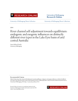 Item - River channel self-adjustment towards equilibrium: endogenic and ...