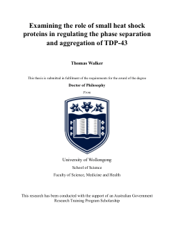 Item - Examining the role of small heat shock proteins in regulating ...