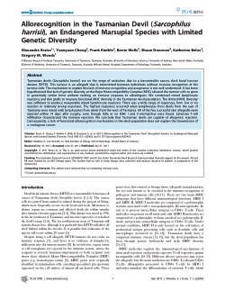 Allorecognition in the Tasmanian devil (Sarcophilus harrisii), an