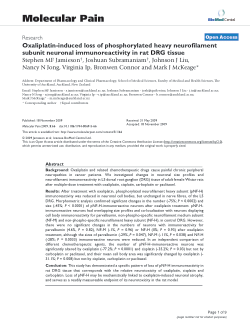 Oxaliplatin-induced loss of phosphorylated heavy neurofilament subunit neuronal immunoreactivity in rat DRG tissue