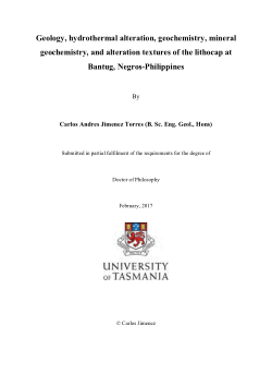 Item - Geology, hydrothermal alteration, geochemistry, mineral ...