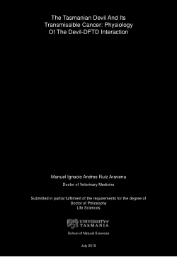 The Tasmanian devil and its transmissible cancer : physiology of the
