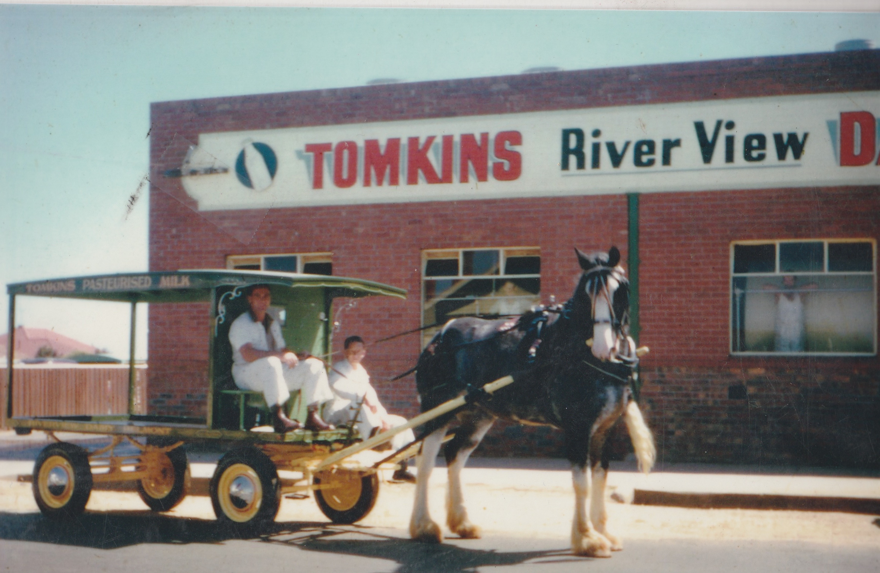 Historical illustration accompanying the Clydesdale milk-delivery story
