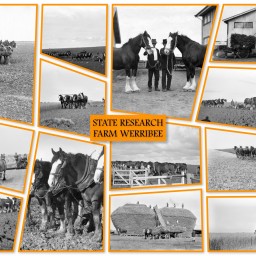 State Research Farm