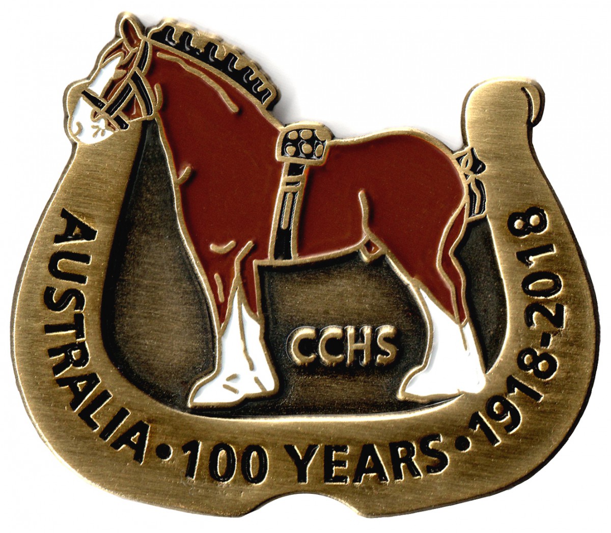CCHS 100 Year Lapel Badge 1918-2018 Centennary