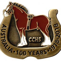 CCHS 100 Year Lapel Badge 1918-2018 Centennary