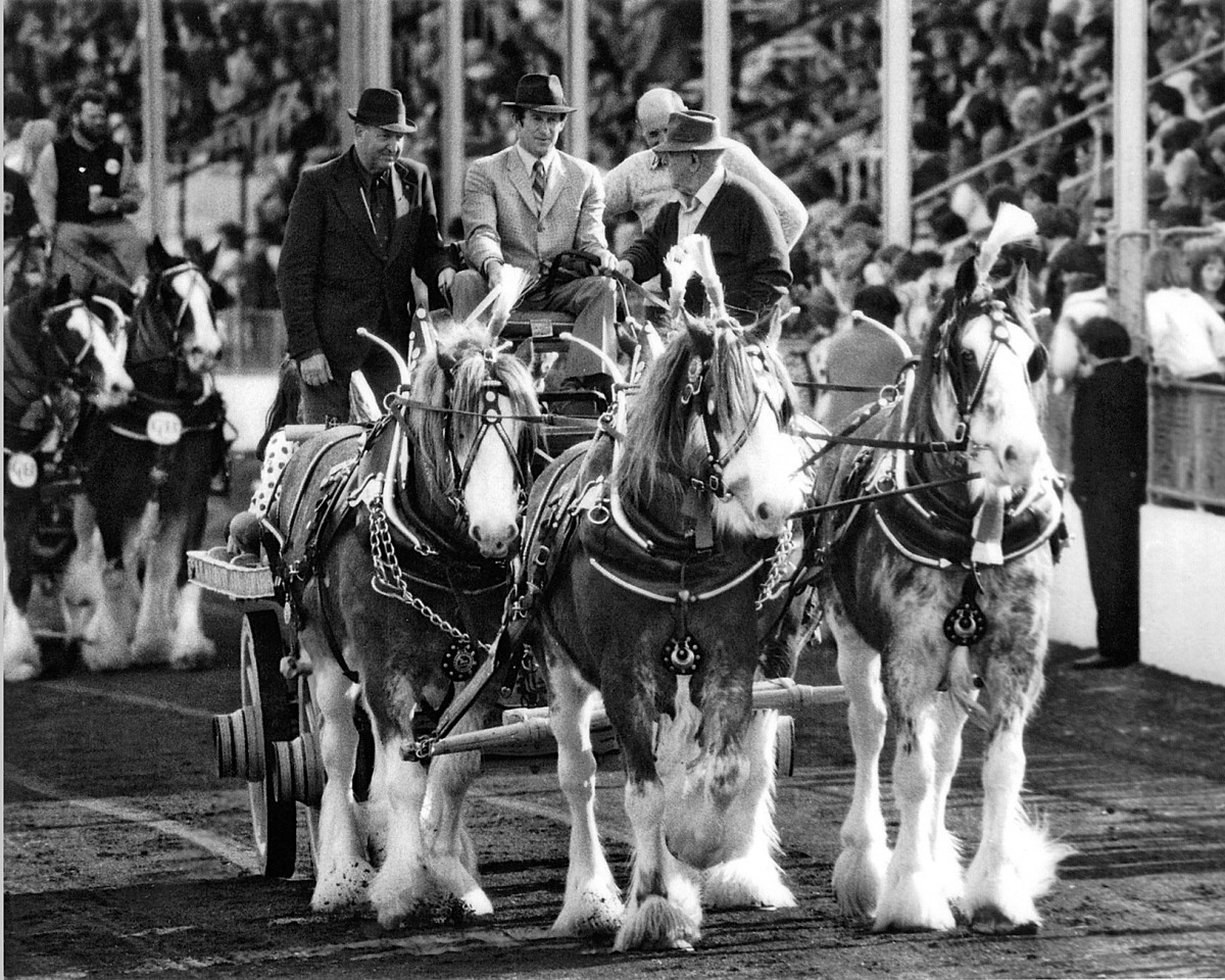 1970's RMS Grand Parade - AT Marriott Team of 4