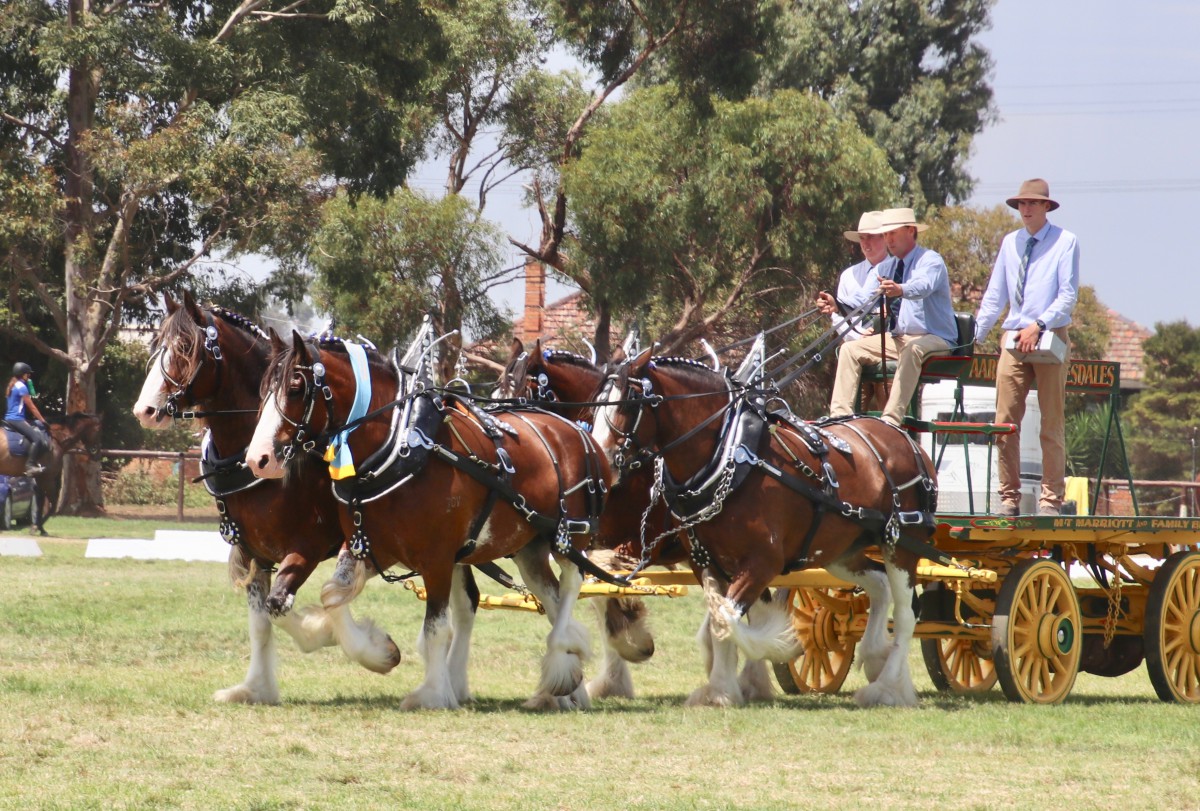 2018 NCHHF Supreme Harness Exhibit - AT Marriott & Family