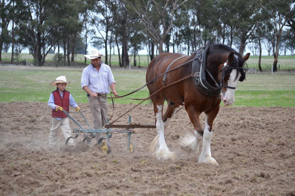 Josh and son, Jayden Taylor, driving McMurchie Blair