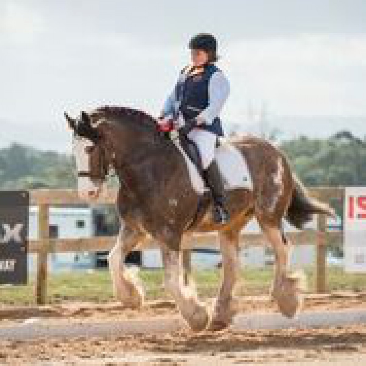 2017 Farm World - Celtic Glen