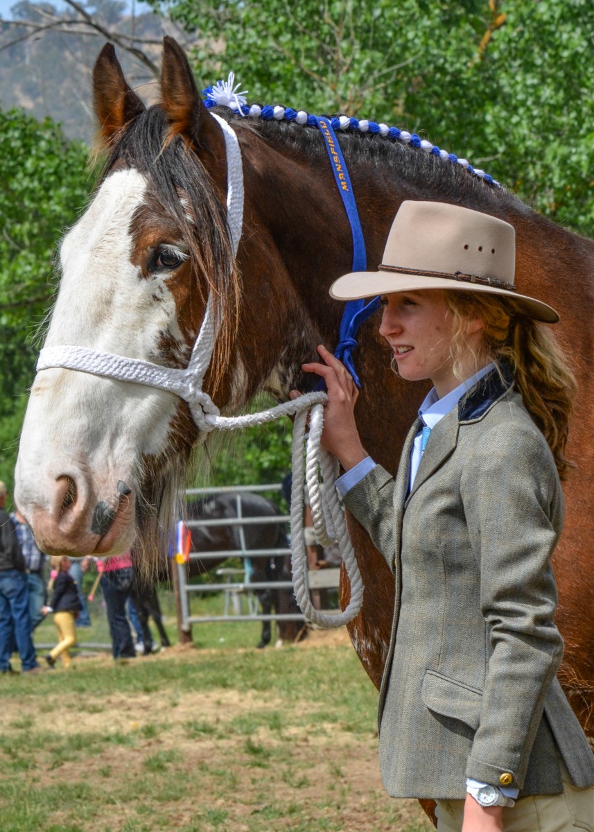 mansfield-show-2015_15614550719_o