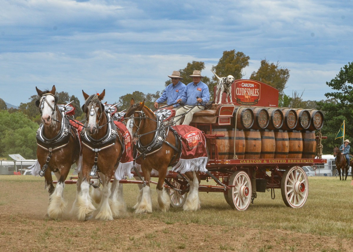 mansfield-show-2015_15615282487_o