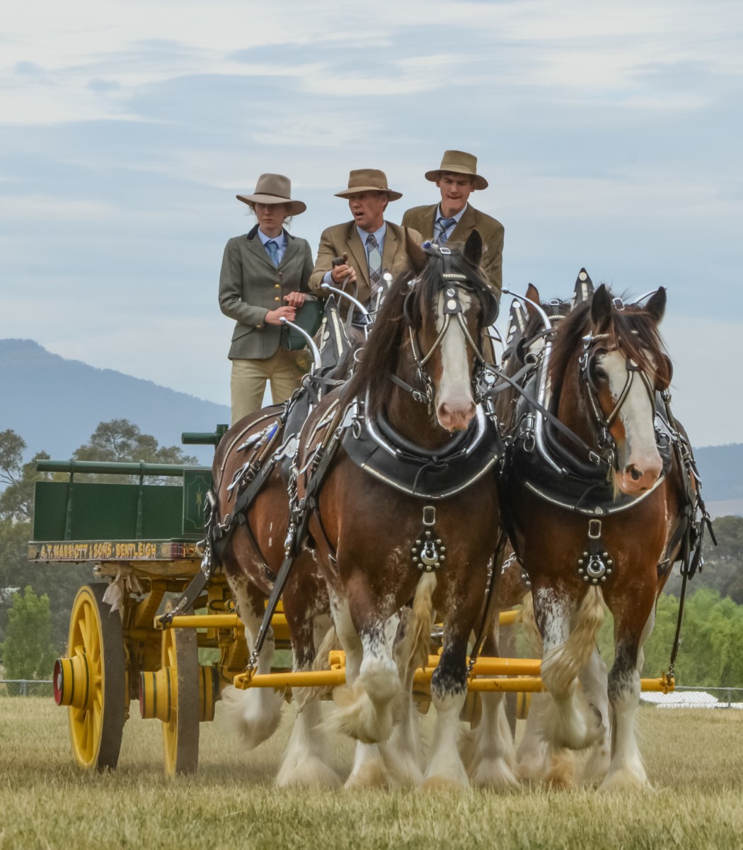 mansfield-show-2015_15615577640_o