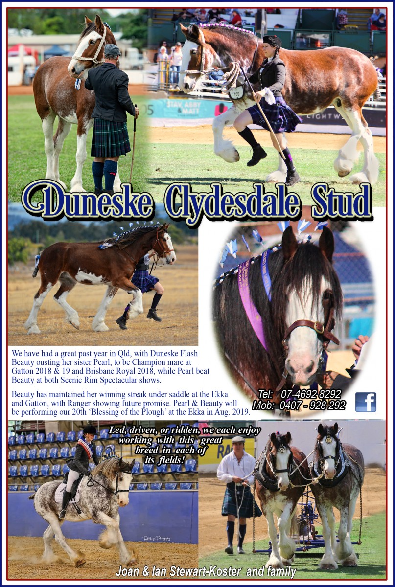 005 Duneske Vic Yearbook ad 2019 version 2