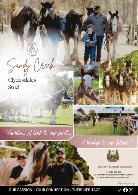 010 Sandy Creek Ad