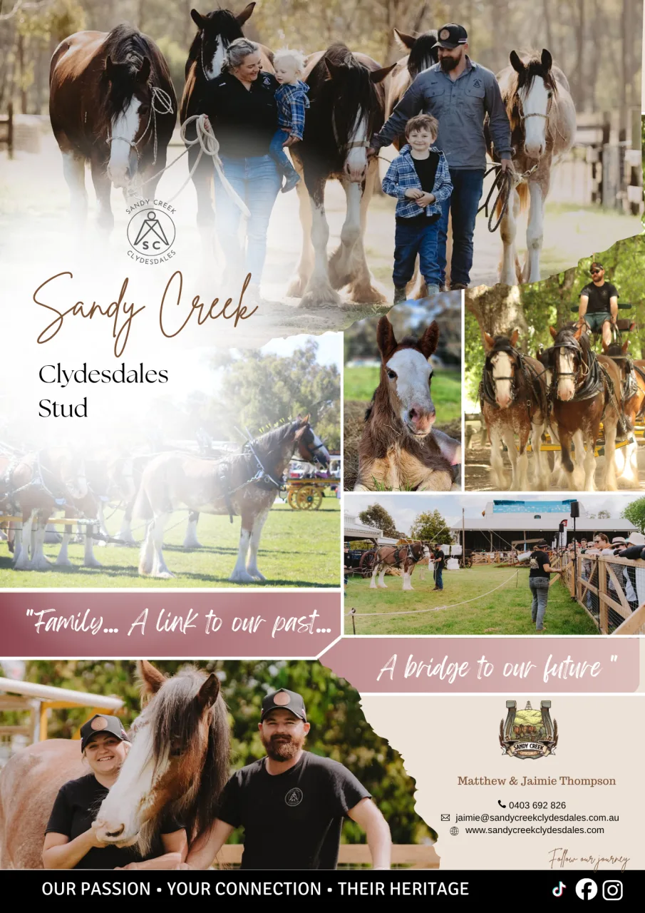 010 Sandy Creek Ad