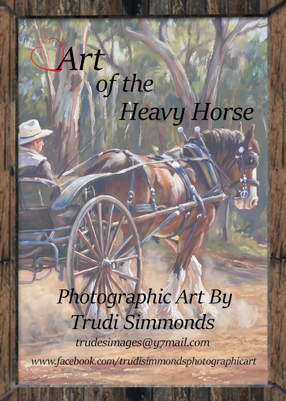 Photographic Art by Trudi Simmonds 