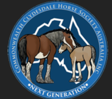“NEXT-GEN” – THE CCHSA NEXT GENERATION GROUP