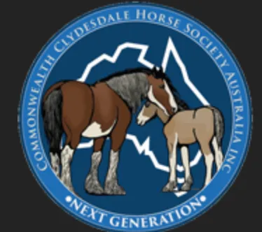 “NEXT-GEN” – THE CCHSA NEXT GENERATION GROUP