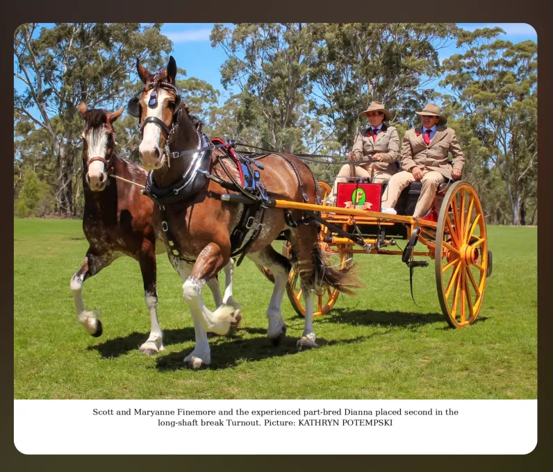 National Clydesdale &Heavy Horse Festival 