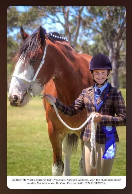 National Clydesdale &Heavy Horse Festival 