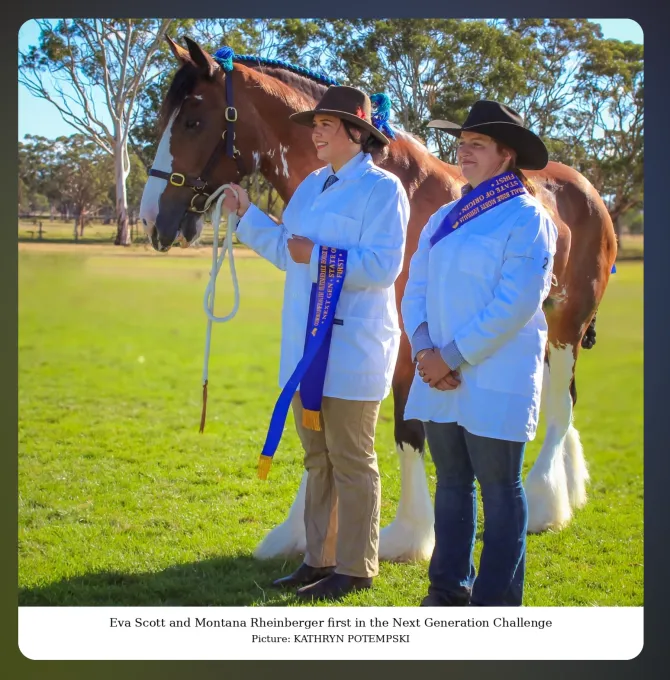 National Clydesdale &Heavy Horse Festival 