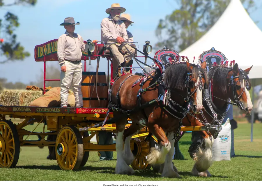 National Clydesdale &Heavy Horse Festival 