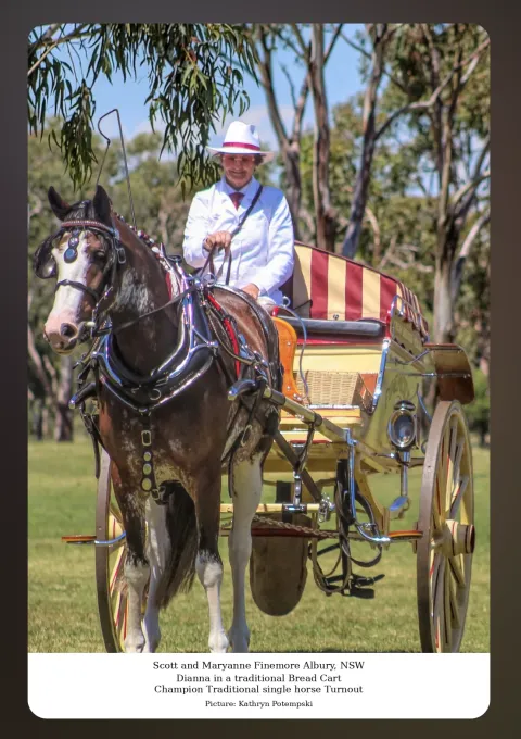National Clydesdale &Heavy Horse Festival 