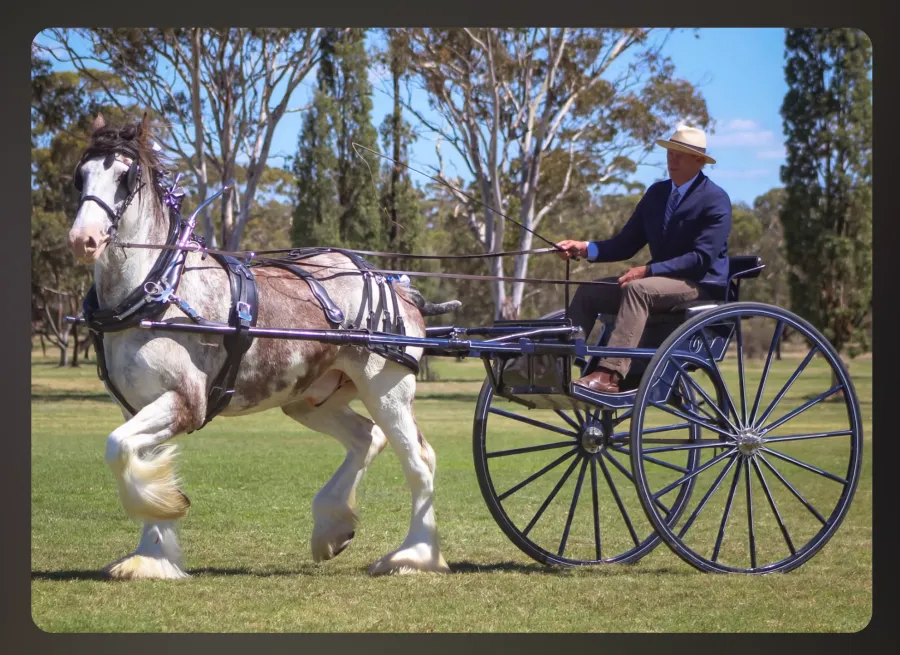 National Clydesdale &Heavy Horse Festival 