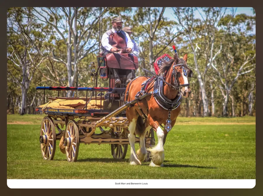 National Clydesdale &Heavy Horse Festival 