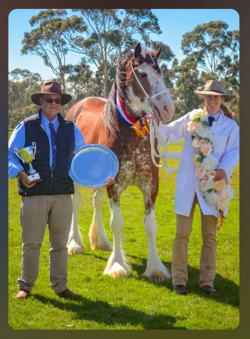 National Clydesdale &Heavy Horse Festival 