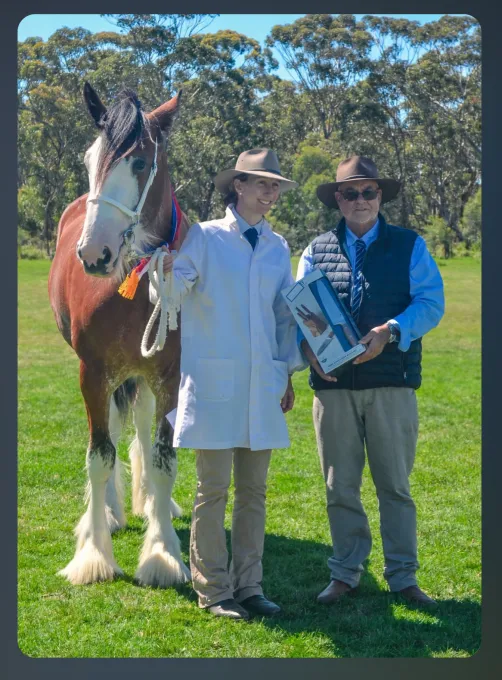 National Clydesdale &Heavy Horse Festival 