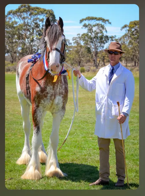 National Clydesdale &Heavy Horse Festival 