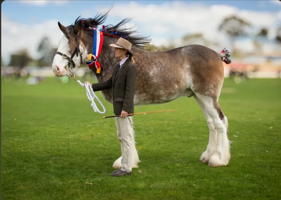 St. Arnaud Agricultural Show